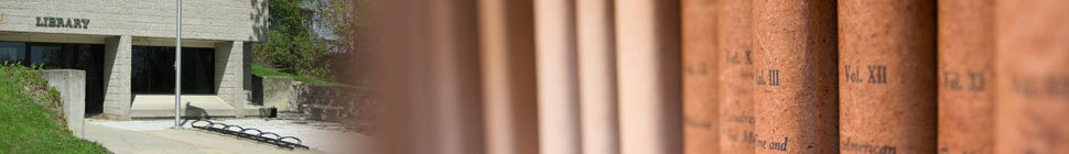 Friends of the Howard Lake Library header image 1